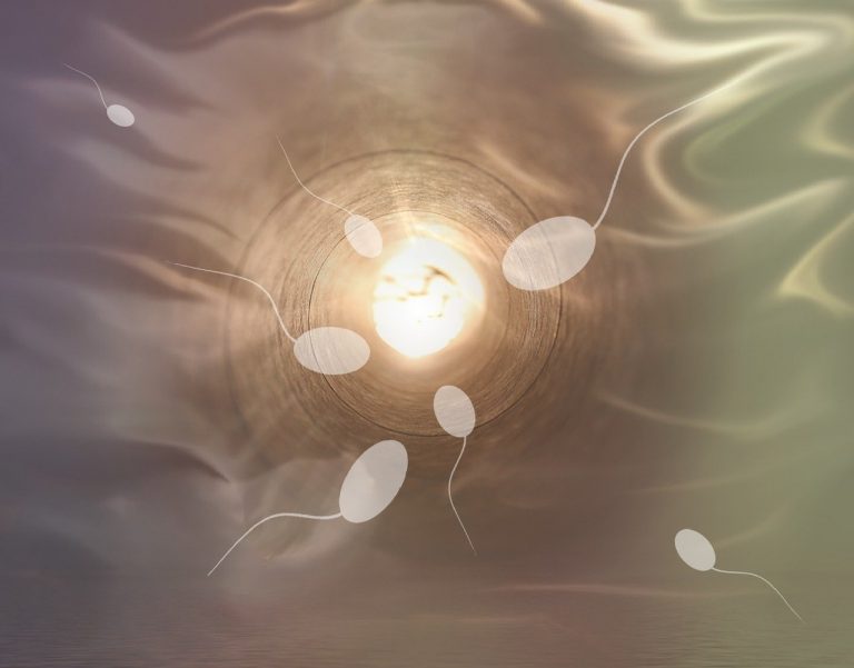 How can I increase my chances of fertility?