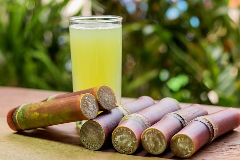 Uncovering the Truth: Does Sugarcane Juice Aid in Weight Loss?